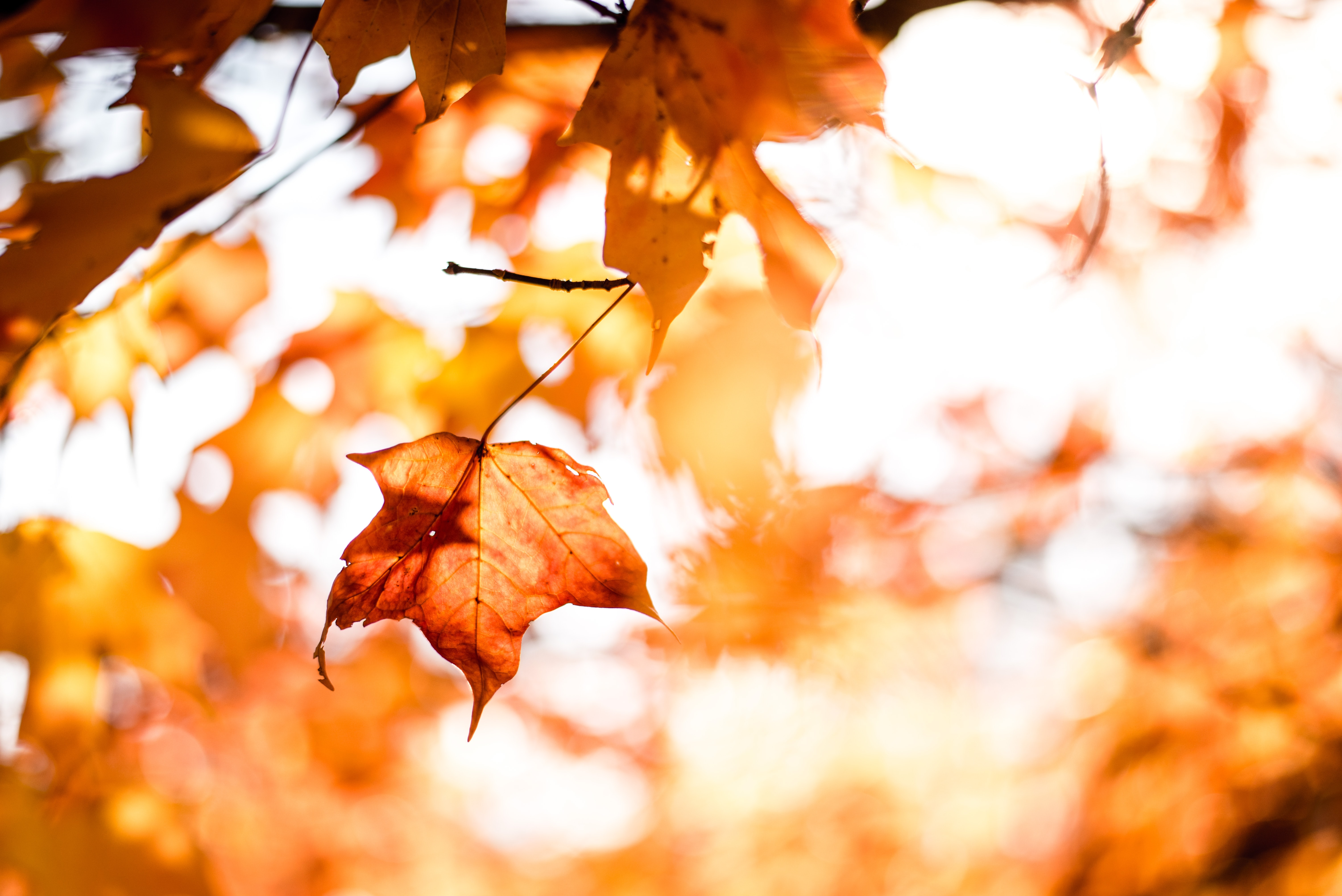 6 Reasons to Visit Long Island This Fall