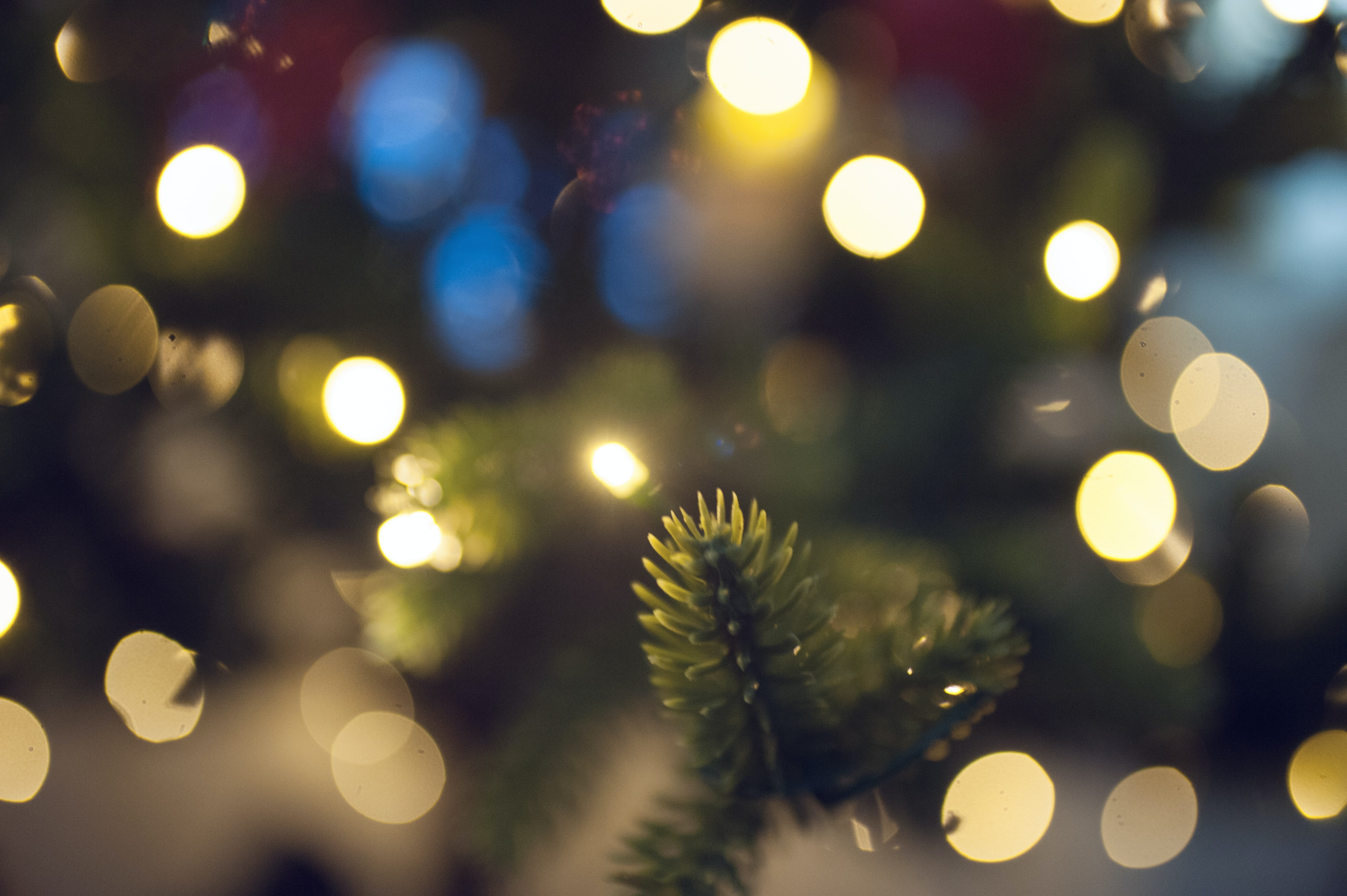 25 Holiday Affirmations for December