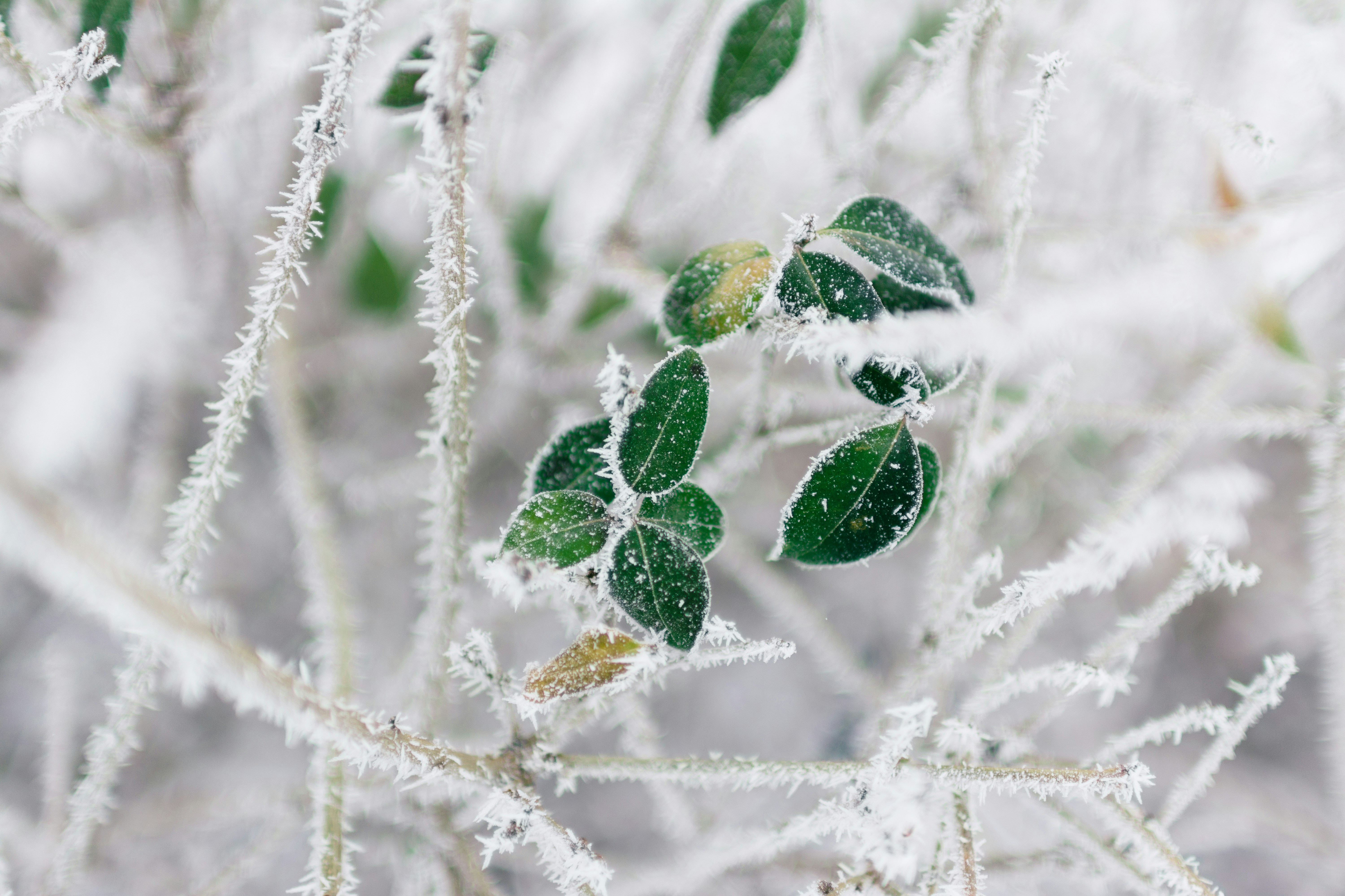 4 Ways to Make Sure Your December is the Best Month of the Year.